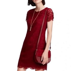 Ann Taylor Wine Burgundy Mosaic Lace Short Shift Dress Size 6